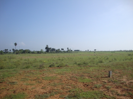 2) Open Plots for Sale Near to BHL & NTPCL Projects.JPG
